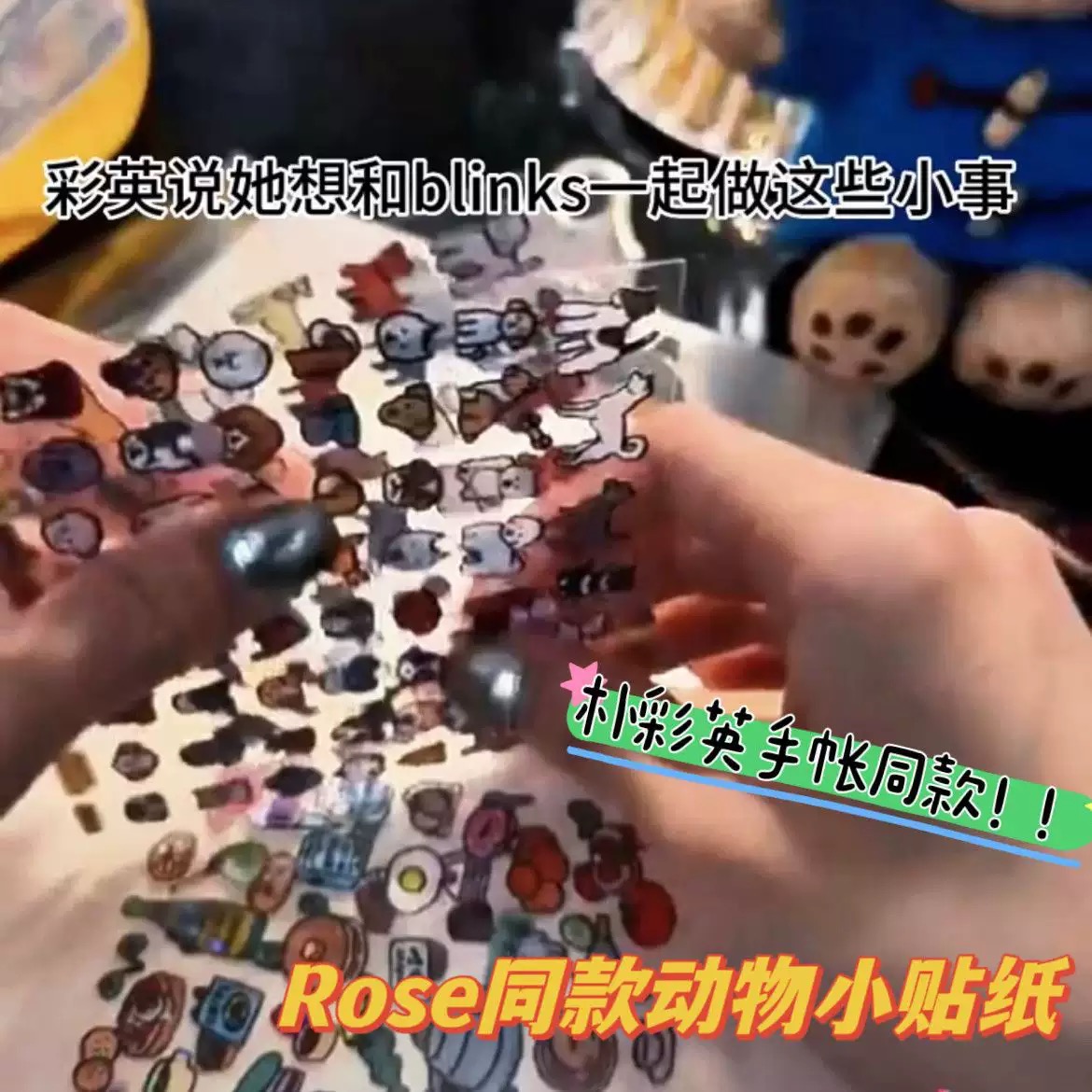 rose朴彩英同款手账韩国zeroperzero贴纸ins贴画diy手机装饰素材