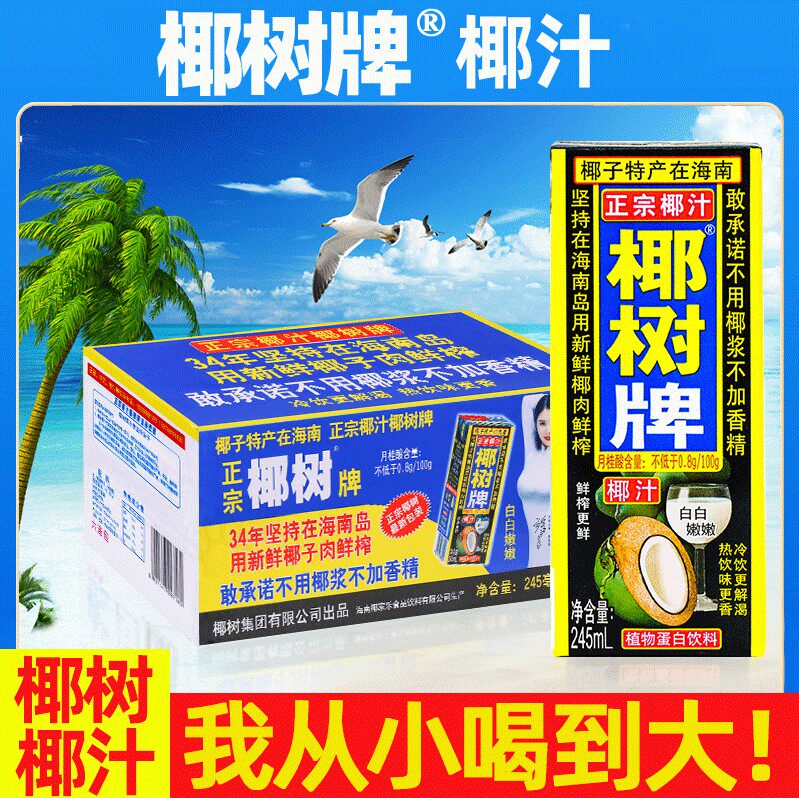 椰树椰汁正宗椰树牌椰子汁饮料饮品245ml*24盒/箱植物蛋白椰奶