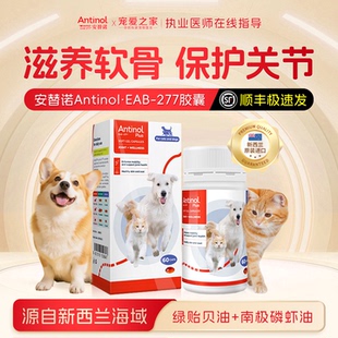 新西兰进口安它诺Antinol安替诺277安适得宠物狗狗软骨素猫咪关节
