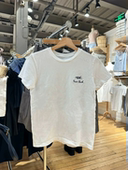 Brandy 百搭上衣女夏 T恤bm简约修身 Girl美式 复古字母刺绣圆领短袖