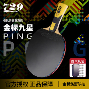 官方正品 友谊729乒乓球拍专业级碳素兵乓球拍省队奔腾2胶皮套装