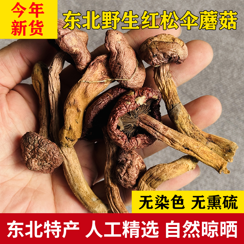 野生红蘑菇干货松树伞红蘑菇丁菌菇东北特产长白山鸡血蘑肉蘑500g