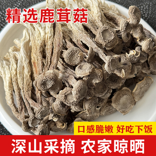 东北野生精选鹿茸菇干货鹿茸菌自然生长煲汤脆姑蘑菇香菇食材新货