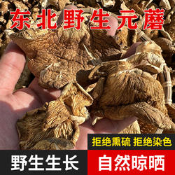 野生元蘑干货东北特产冻蘑菇长白山冬蘑菇黄蘑新货小鸡炖蘑菇500g