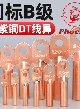 凤凰DT国标A级加厚铜鼻子铜接线端子纯铜接头镀锡线耳DT-10厂家
