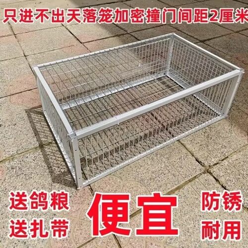 新款加密只进不出鸽子笼天落笼户外撞门笼全自动收鸽笼捕鸽子神器