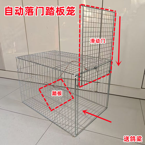 踏板笼自动滑动门鸽子笼家用机关收纳笼户外养殖笼新型天落笼滑落