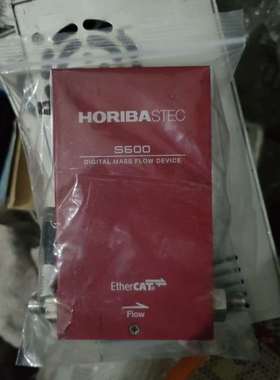 日本HORIBA堀场S600SEC质量流量计21年二手
