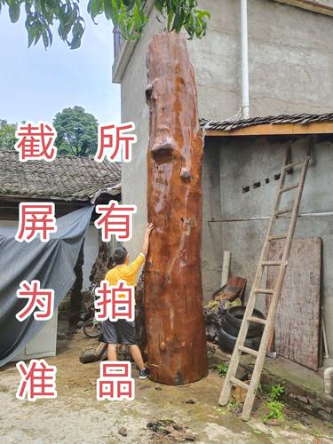 金丝楠木拍前请咨询，我们是雅安金丝楠木原产地，直接下单无效