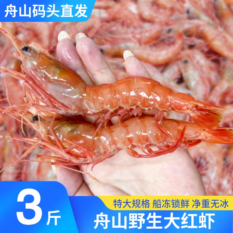 舟山大红虾鲜活冷冻海虾条虾野生海捕船冻海鲜水产生腌虾刺身特产