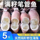 全母海兔满籽籽乌糕鱿鱼全籽小笔管鱼新鲜墨鱼乌贼纯籽天然籽野生