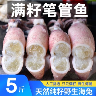 全母海兔满籽籽乌糕鱿鱼全籽小笔管鱼新鲜墨鱼乌贼纯籽天然籽野生