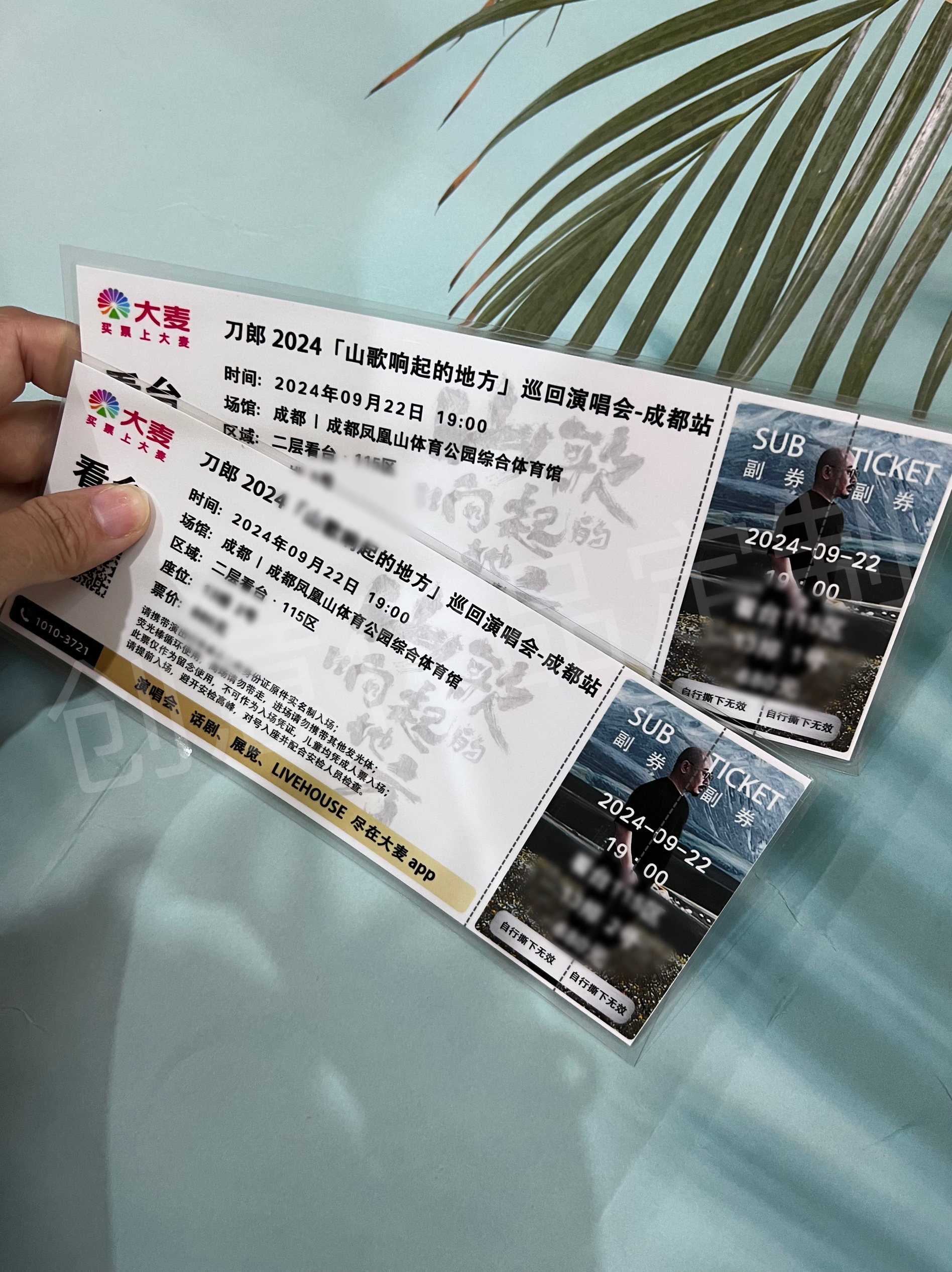 刀郎2024山歌响起的地方巡回演唱会纸质门票票根定制纪念收藏应援