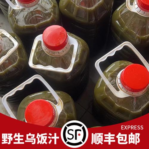 宜兴新鲜乌饭叶汁南烛树叶汁乌米饭汁水乌饭草汁粽子原料特产顺丰