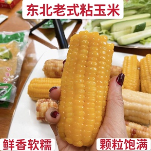 东北长白山奥禾新鲜黏玉米营养粗粮早餐真空包装老式黏玉米8棒