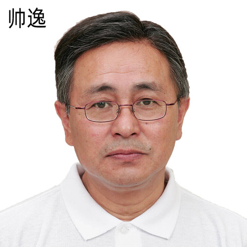 中老年男假发37分爸爸全真发短发