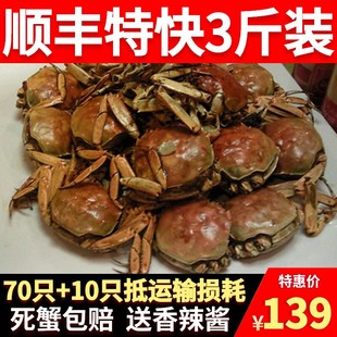 70只装 蟹二元 蟹小螃蟹香辣蟹鲜活蟹大闸蟹河蟹麻辣小蟹水产 1一元