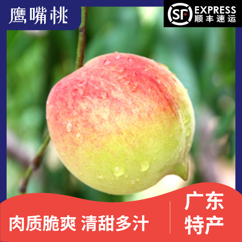 广东韶关乐昌鹰嘴桃农家爽脆新鲜