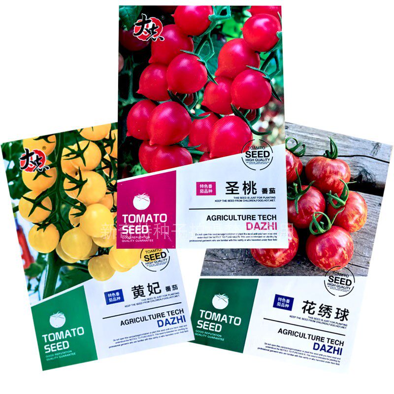 黄樱桃番茄种子小番茄籽圣桃番茄蔬菜种子/种苗