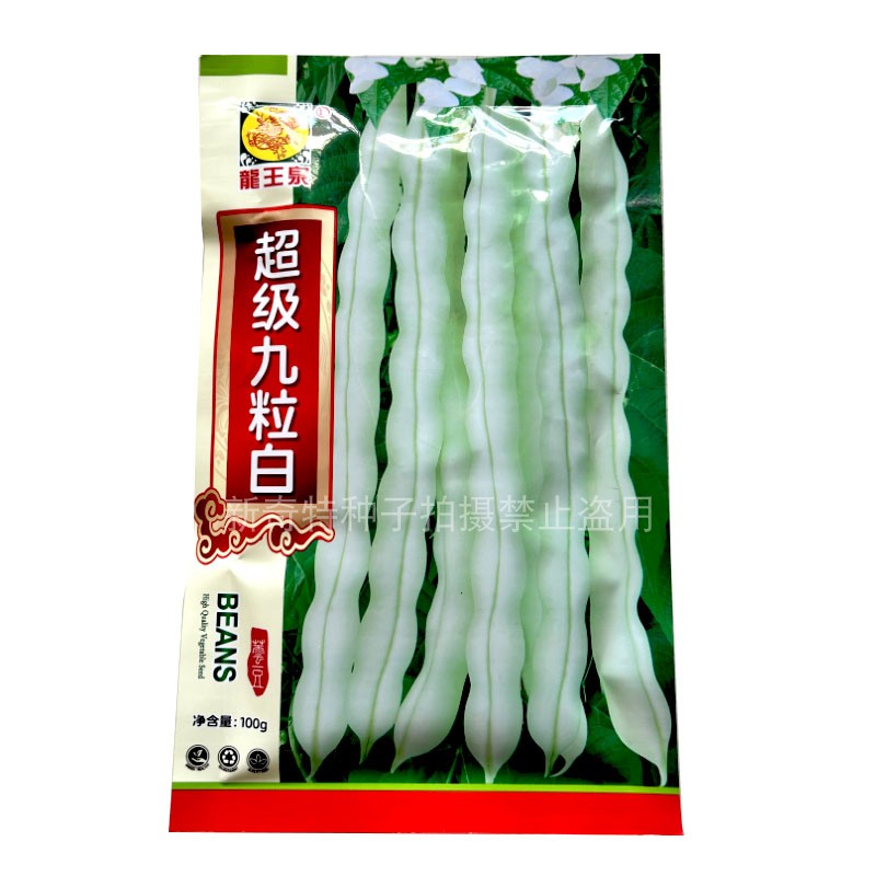 龙王泉超级九粒白豆种子芸豆高产抗病摘不败四季豆白蔬菜种子100g