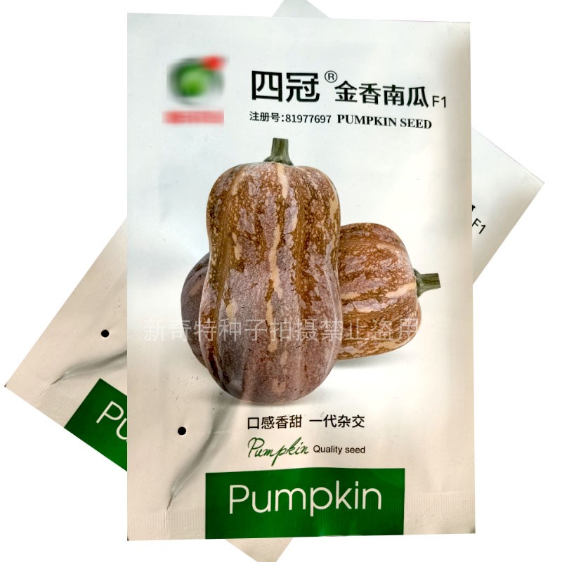 四冠金香南瓜种子矮生葫芦南瓜种子花生小南瓜种籽搭架两用香甜粉