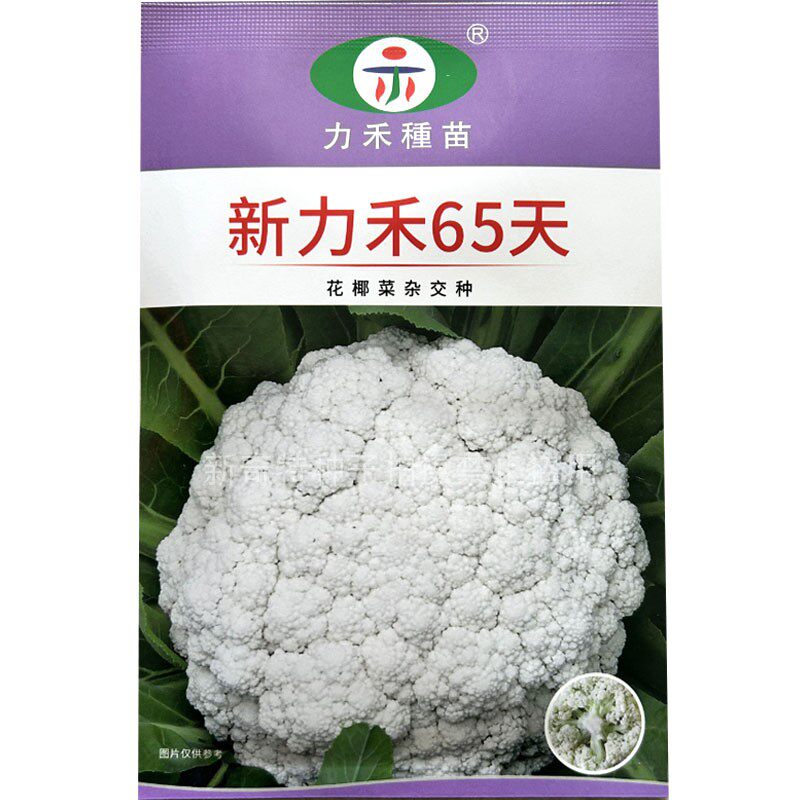 新力禾65天花椰菜种子台湾力禾花菜种籽半松花菜青梗花椰菜籽