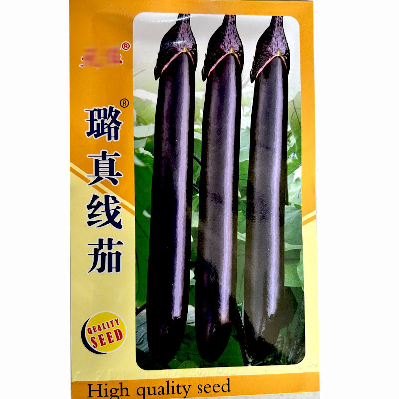 天任璐真线茄种子黑长茄种子紫黑油亮长果早熟高产商品性春秋播