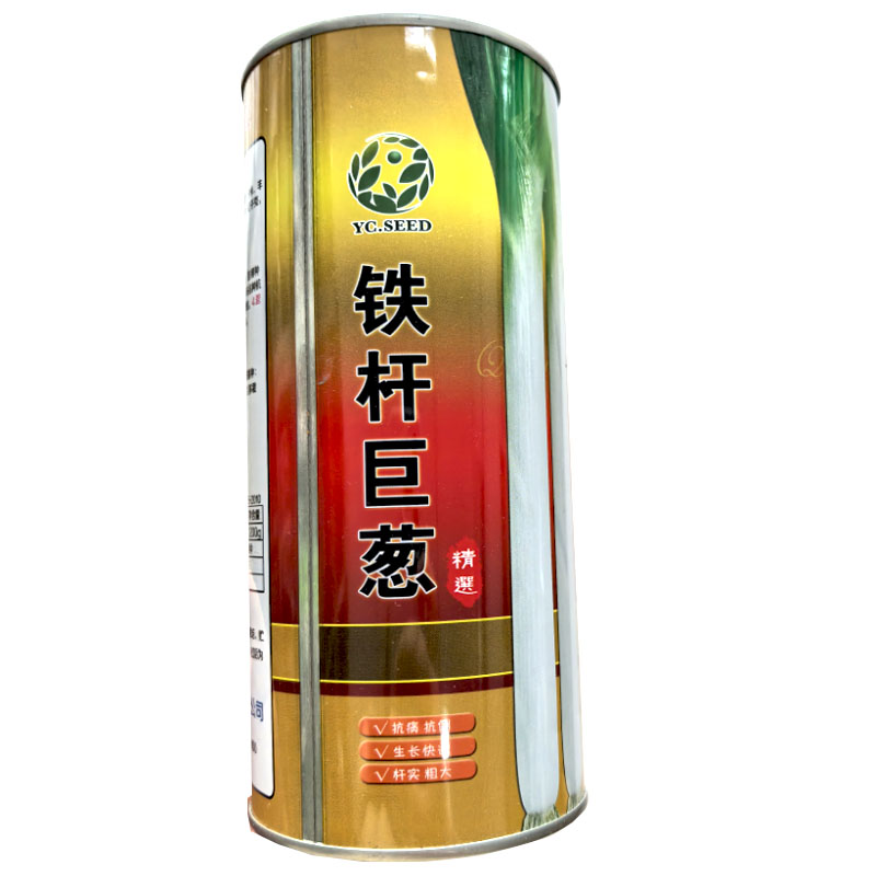 铁杆巨葱种子春秋播浓绿叶肉厚葱抗倒伏优质丰产大葱蔬菜籽
