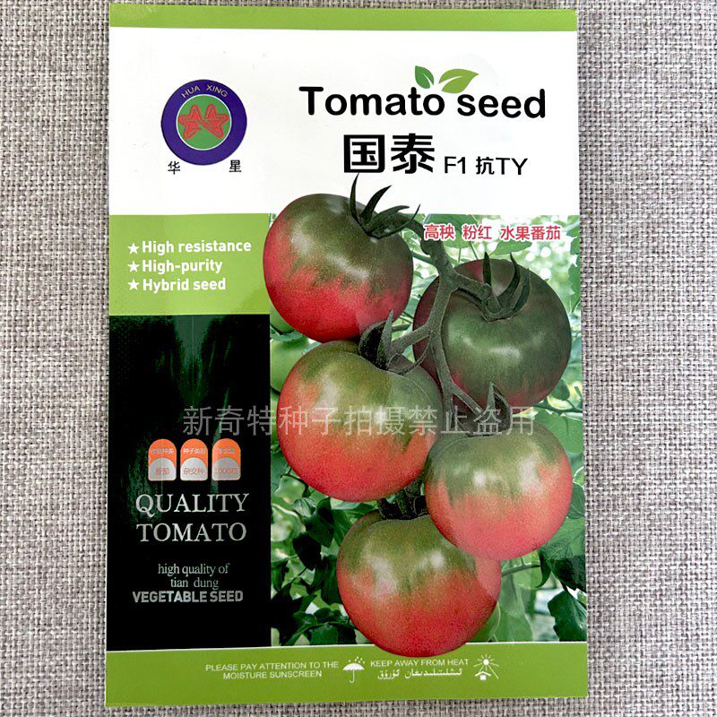 国泰F1抗TY草莓番茄种子高秧粉红水果番茄耐热采摘园大棚基地种植