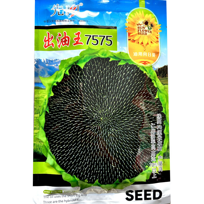 出油王7575油葵种子抗倒大弯头高油耐旱油葵种籽葵花籽高产种孑