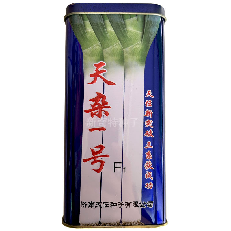 天任天杂一号大葱种子 抗病高产耐寒耐热抗倒伏大葱种子大田专用