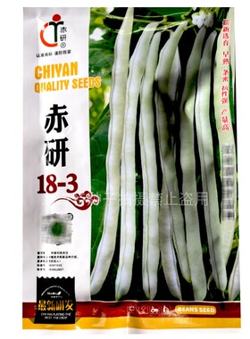 赤研18-3无筋架豆种子早熟春秋九粒白种籽荚多高产豆角芸豆蔬种孑