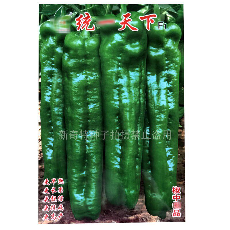 牛角椒种子统一天下F1早熟杂交皮薄肉厚微辣大青椒彩椒种子