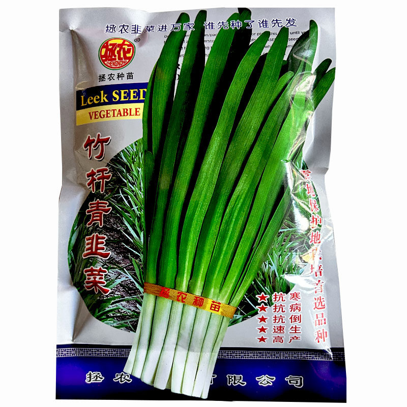 竹杆青韭菜种子耐寒大宽叶百根韭菜籽不休眠韭菜种子露地保护地种