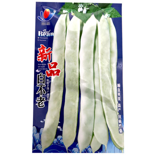 白豆角种子白不老芸豆种籽老来少豆角四季蔬菜种籽白架豆春秋种植