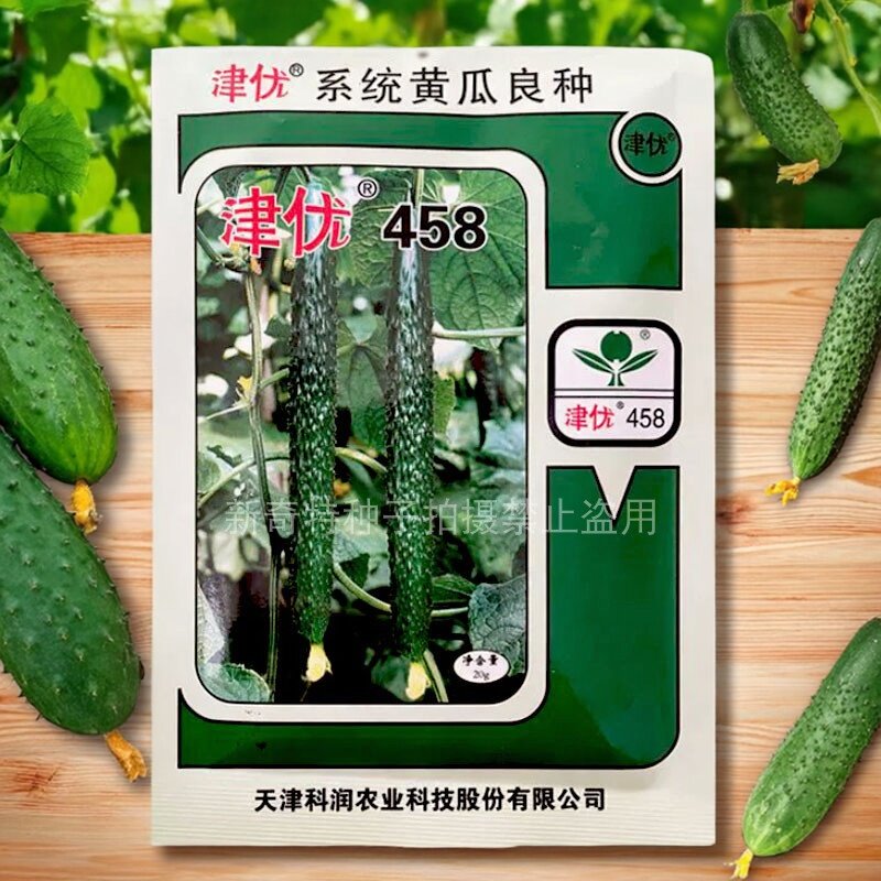 津优458系统优质黄瓜种子津优365高产耐热耐粗短把寒大田蔬菜种子