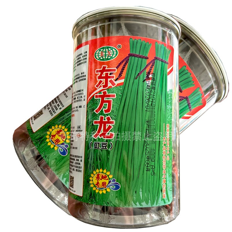 东方龙豇豆种子早中熟翠绿色长豆角种籽抗病耐老化春秋种基地用种