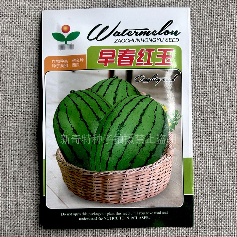 早春红玉杂交西瓜种子早熟礼品红肉西瓜皮薄耐裂200粒大田基地种