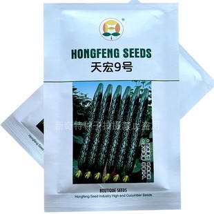 黄瓜种子天宏9号油绿型绿皮绿瓤20g春秋露地大棚密刺粗短青黄瓜