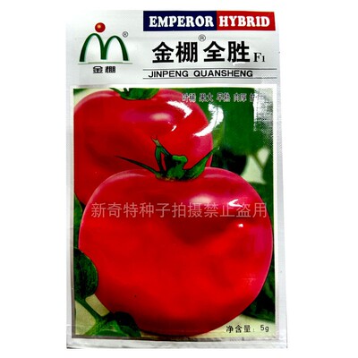 金棚全胜粉红西红柿种子5g早熟大果粉果番茄种籽高圆形大田基地型