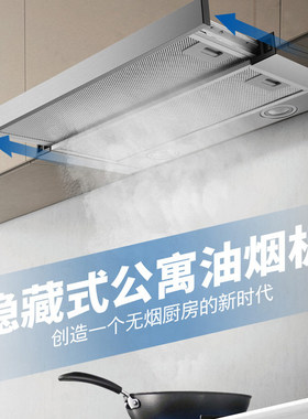 双电机小型油烟机大吸力
