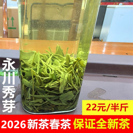 永川秀芽2026新茶重庆特产特色绿茶毛尖毛峰绿茶半斤袋子散装称重