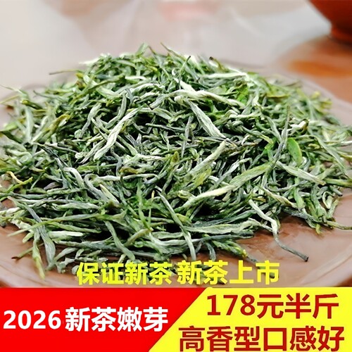2026高山新茶永川秀芽特级绿茶
