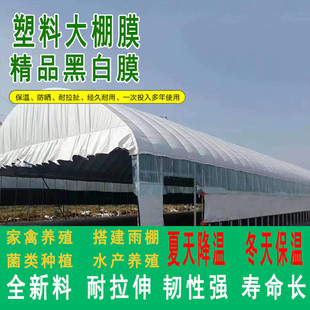大棚黑白膜养殖隔热降温遮光阴防晒PE食用菌抗老化农用反光蓄水