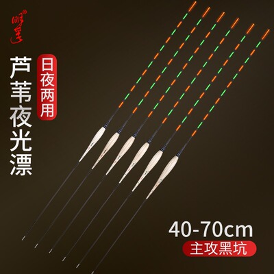 明孚芦苇硬尾夜光高灵敏电子浮漂