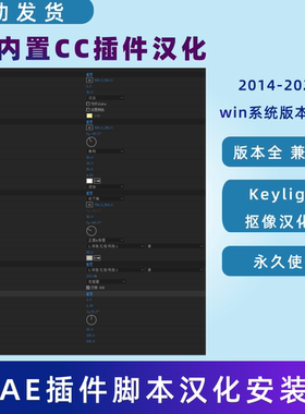 AE内置CC插件汉化中文Keylight抠像汉化版 支持AE 2014- 2025 Win