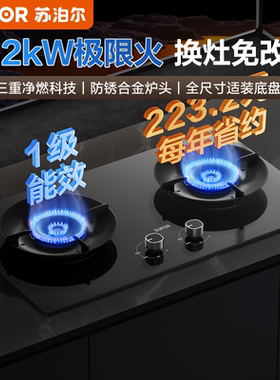 苏泊尔MB17S燃气灶煤气灶双灶家用厨房台嵌两用天然气液化气灶具