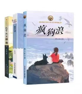 江上谁家少年 三十六只蜂箱 疯狗浪 童年河