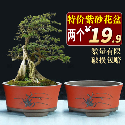 宜兴紫砂花盆特价清仓特大口径老桩圆柱陶瓷盆绿松苍兰种树盆景盆