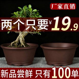 宜兴紫砂花盆清仓特价多肉吊兰简约盆景盆透气陶土绿萝绿植陶瓷盆